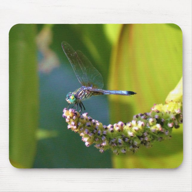 Mousepad Dragonfly de olhos lacrimejados (Frente)