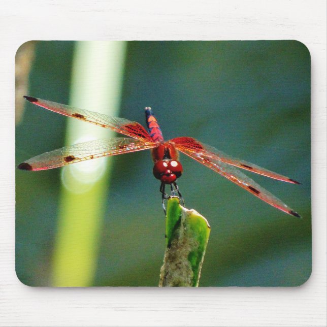 Mousepad Dragonfly Frontal Vermelha e Negra (Frente)