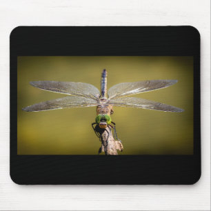 Mousepad Dragonfly legal