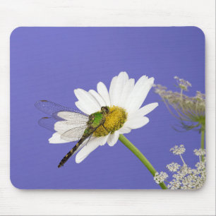 Mousepad Dragonfly na margarida branca