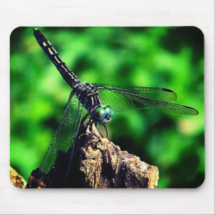 Mousepad Dragonfly Nature
