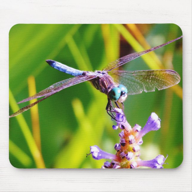 Mousepad Dragonfly Teal & Purple (Frente)