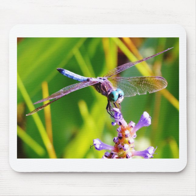 Mousepad Dragonfly Teal & Purple (Frente)