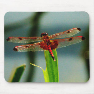 Mousepad Dragonfly Vermelha e Negra