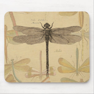 Mousepad Dragonfly Vintage Natureza Clássica Antica