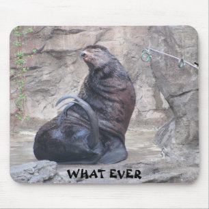 Mousepad Drama Seal diz "o que sempre"