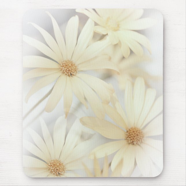 Mousepad Dreamy Daisies 2 (Frente)