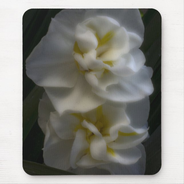 Mousepad Dreamy Narcissus Daffodils (Frente)
