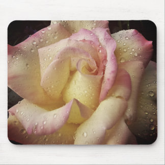 Mousepad drenched in dew