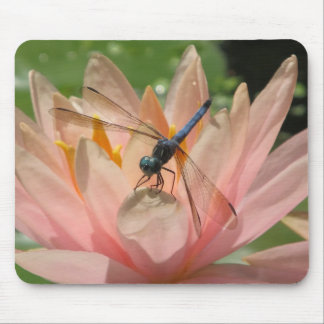 Mousepad Drgonfly no lírio de água