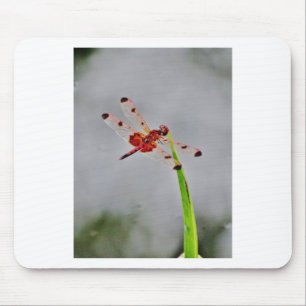 MOUSEPAD DSC00029.JPG