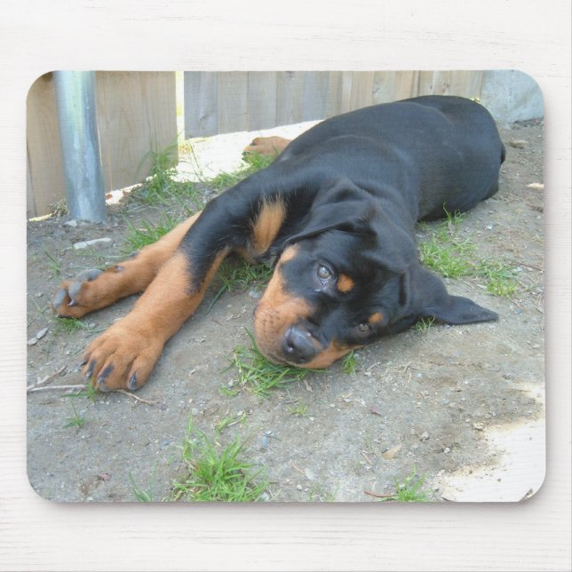 MOUSEPAD DSCF0140 (Frente)