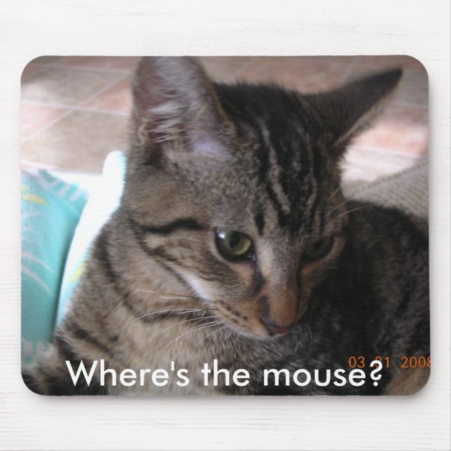 Mousepad DSCN1598, onde é o rato? (Frente)