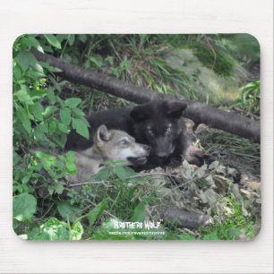 Mousepad Duas Cinzas Wolf Pups Tocando Foto Da Natureza Sel