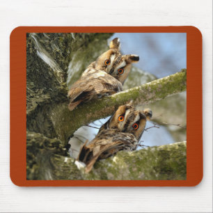 Mousepad Duas Corujas nos Bosques, aves, vida selvagem Mous