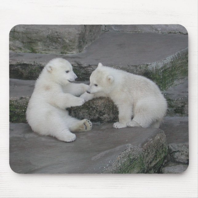 Mousepad Duas crias de urso polar (Frente)