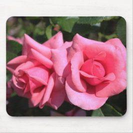 Mousepad duas flores de rosa rosa-quente perfeitas. amor