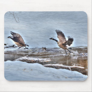 Mousepad Duas Fotografias aéreas canadianas de gansos e nev
