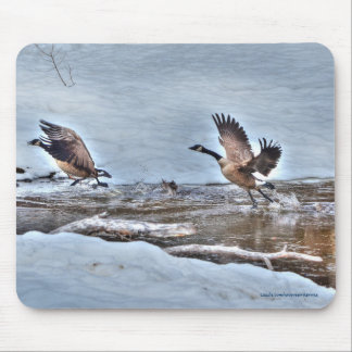 Mousepad Duas Fotografias aéreas canadianas de gansos e nev