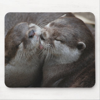 Mousepad Duas lontras adoráveis