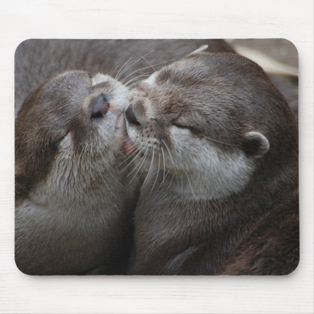 Mousepad Duas lontras adoráveis (Frente)