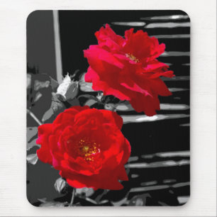 MOUSEPAD DUAS ROSAS VERMELHAS