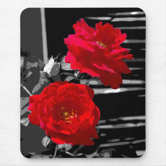 MOUSEPAD DUAS ROSAS VERMELHAS (Frente)