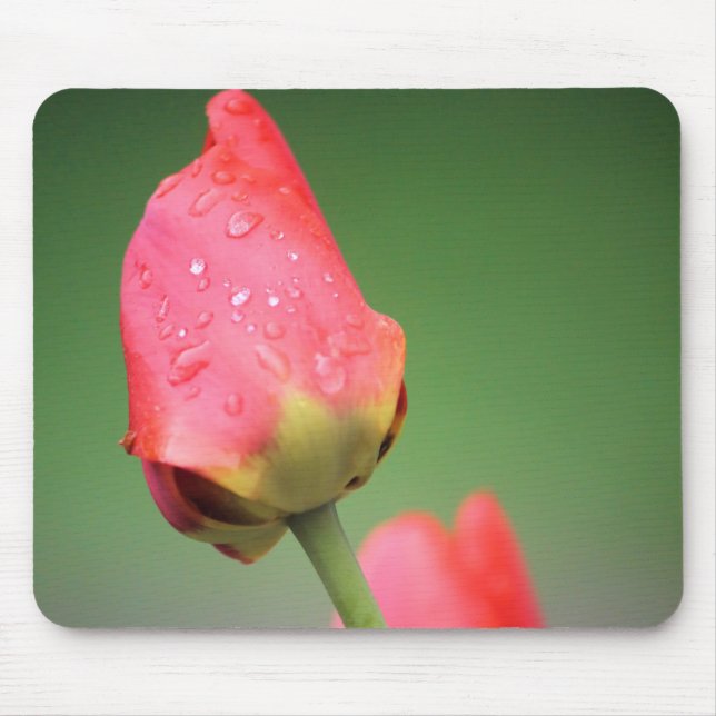 Mousepad Duas Tulipas Cor-de-Rosa Mouse (Frente)