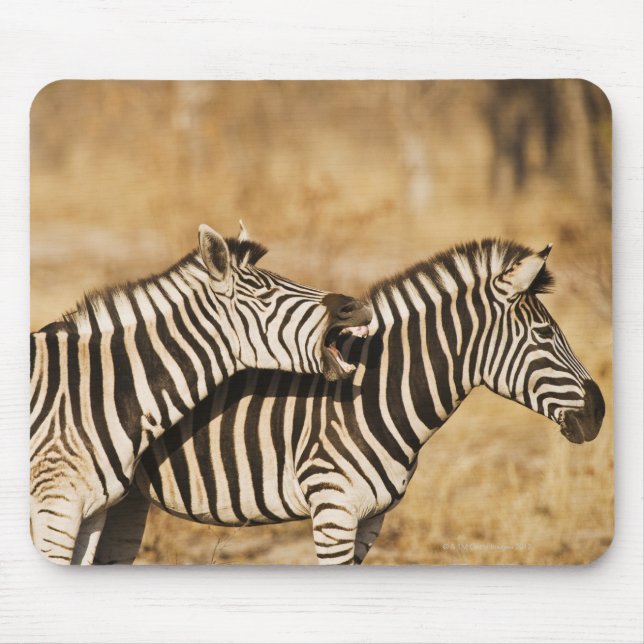 Mousepad Duas zebras de pé na grama (Frente)