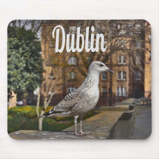Mousepad Dublin Irlanda Pássaro em Brick Wall (Frente)