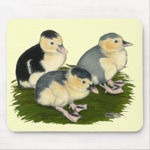 Mousepad Ducklings Azul