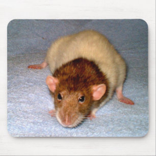 Mousepad Dumbo Rat Bonito
