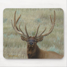 Mousepad E10 Alce Macho em Antler em Cabeça