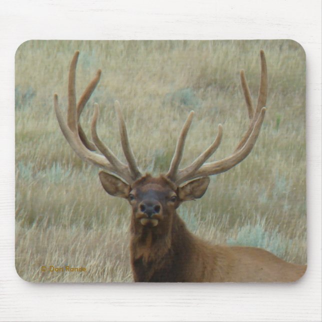 Mousepad E10 Alce Macho em Antler em Cabeça (Frente)
