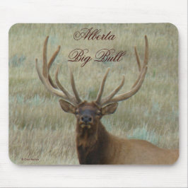 Mousepad E10 Alce Macho em Cabeça de Veludo