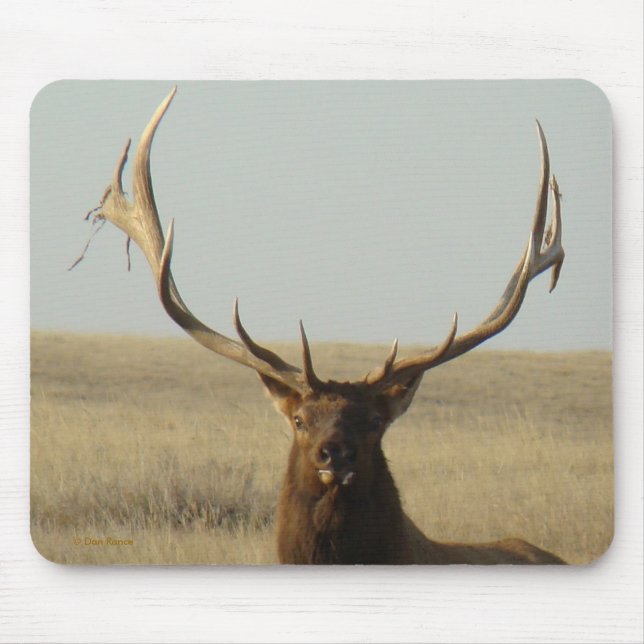 Mousepad E13 Grama de Elk Bull em Chifres (Frente)