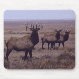 Mousepad E19 Alce Macho Duplo Drop Tines