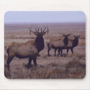 Mousepad E19 Alce Macho Duplo Drop Tines