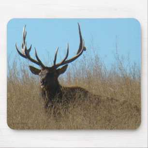 Mousepad E26 Alce Macho Deitado nas Ervas Daninhas