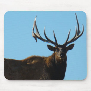 Mousepad E27 Alce Macho Elineado no Céu