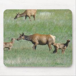 Mousepad E3 Vaca Elk e jovem