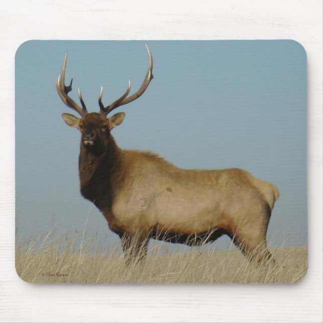 Mousepad E43 Alce Touro (Frente)