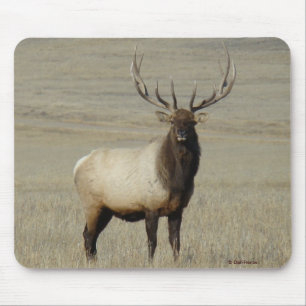 Mousepad E46 Alce Touro Grande Touro