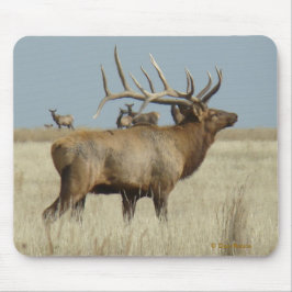 Mousepad E4 Bull Elk Herd Master