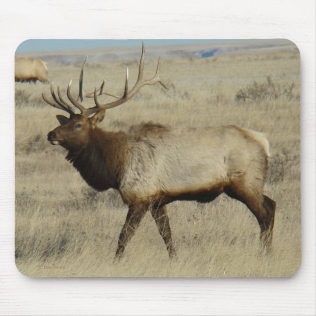 Mousepad E55 Alce Touro Grande Touro (Frente)