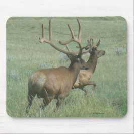 Mousepad E56 Alce Macho em Veludo