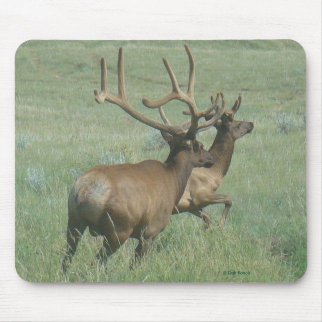 Mousepad E56 Alce Macho em Veludo (Frente)