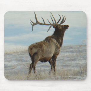 Mousepad E58 Alce Macho Lucky 13 Touro