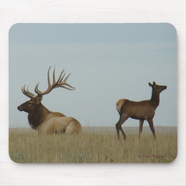 Mousepad E5 Alce Touro e Ano (Frente)