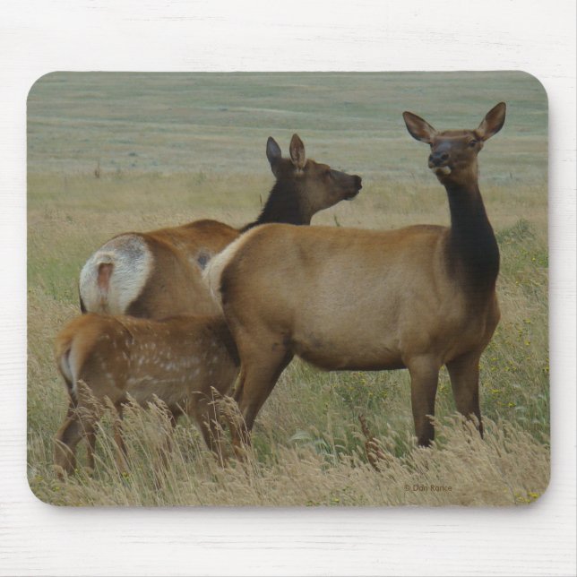 Mousepad E61 Vaca Alce e Bezerro (Frente)